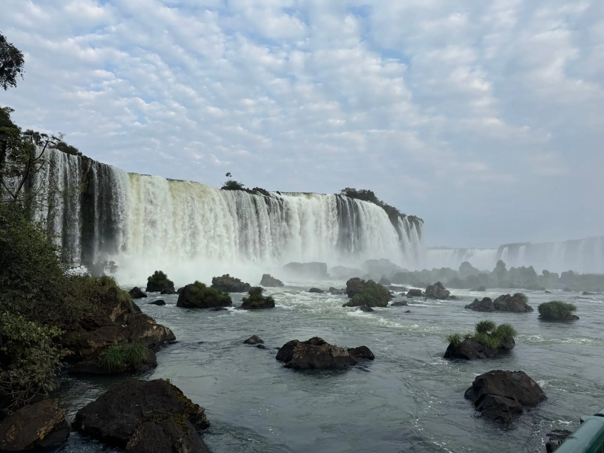 Parque Nacional do Iguaçu com rica fauna e flora em meio à mata Atlântica (foto: Simone Barros)
