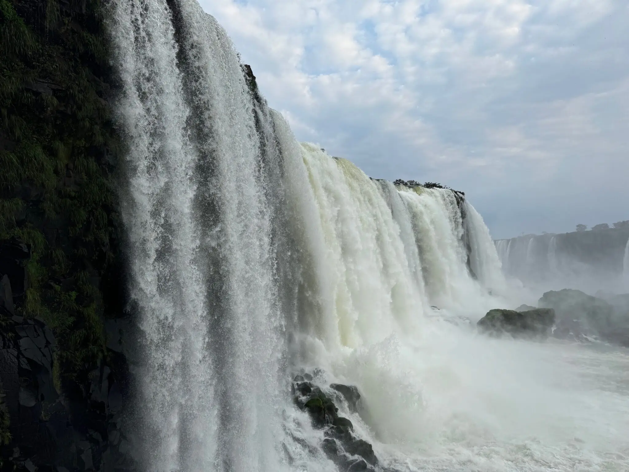 Parque Nacional do Iguaçu com rica fauna e flora em meio à mata Atlântica (foto: Simone Barros)