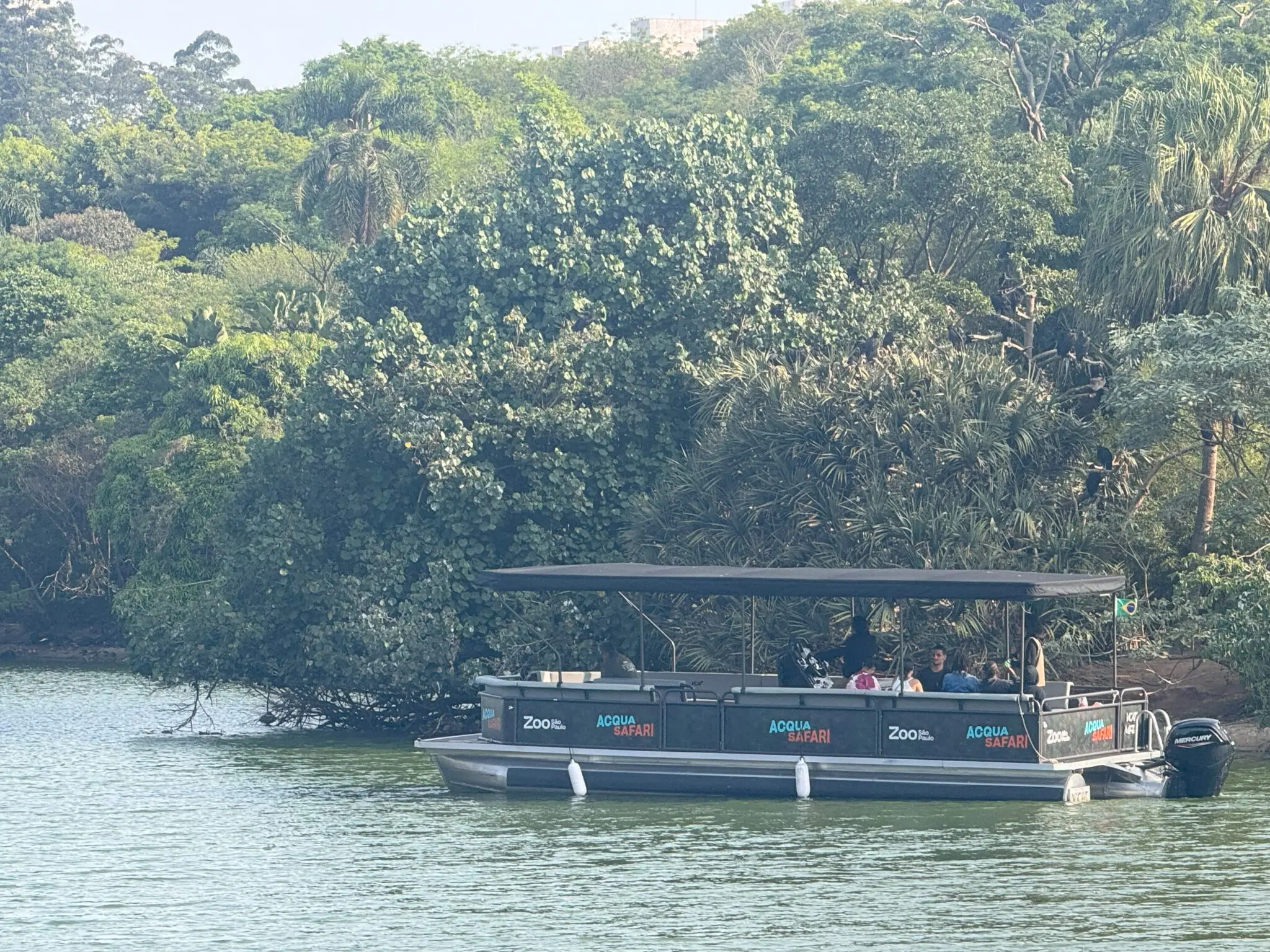Acqua Safari (Créditos: Zoológico de São Paulo)