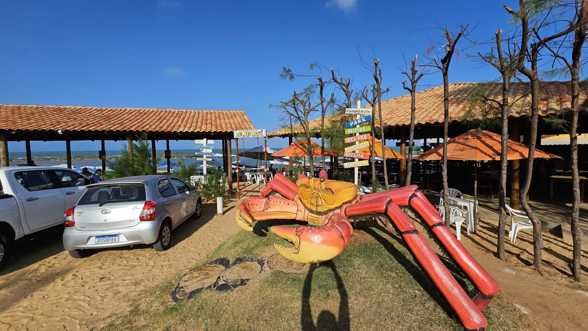 Foto: divulgação Caranguejo do Olavo