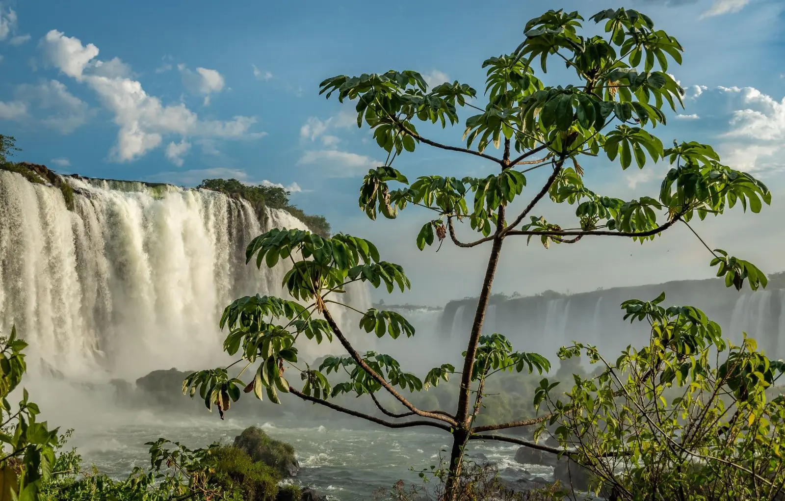Cataratas do Iguaçu - foto: Nilmar Fernando