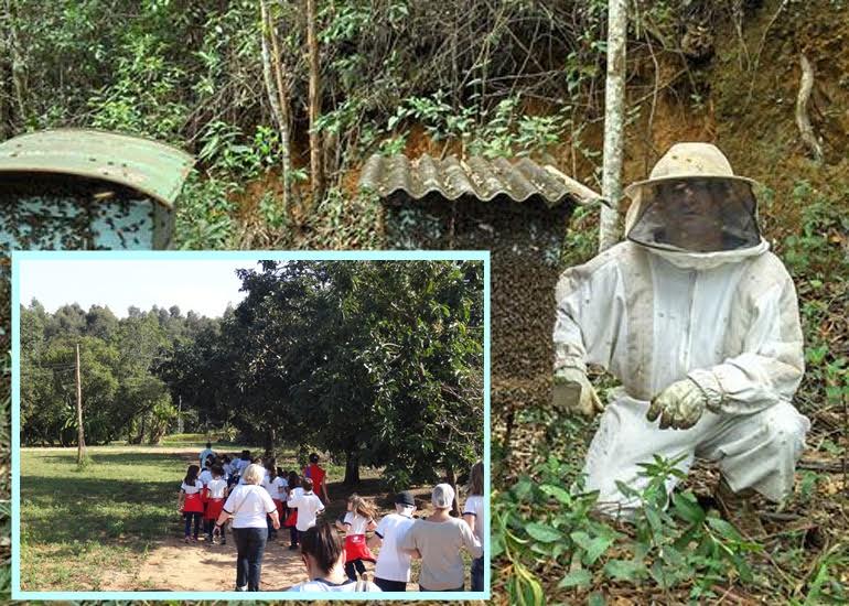 O apiário faz parte do Circuito das Frutas e oferece também Turismo Pedagógico