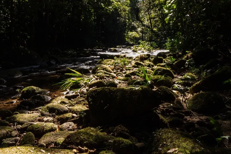 Litoral Norte de São Paulo