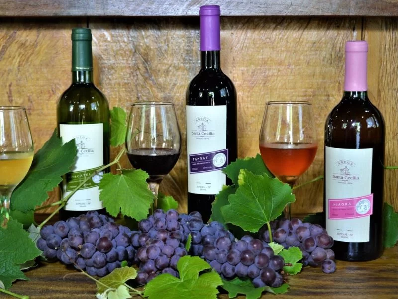 Vinhos da Adega Santa Cecília, de Jundiaí (Foto Divulgação Prefeitura de Jundiaí)