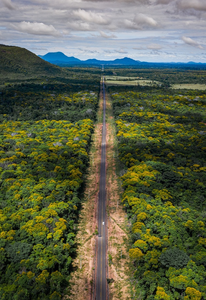 Roraima com wikitravel