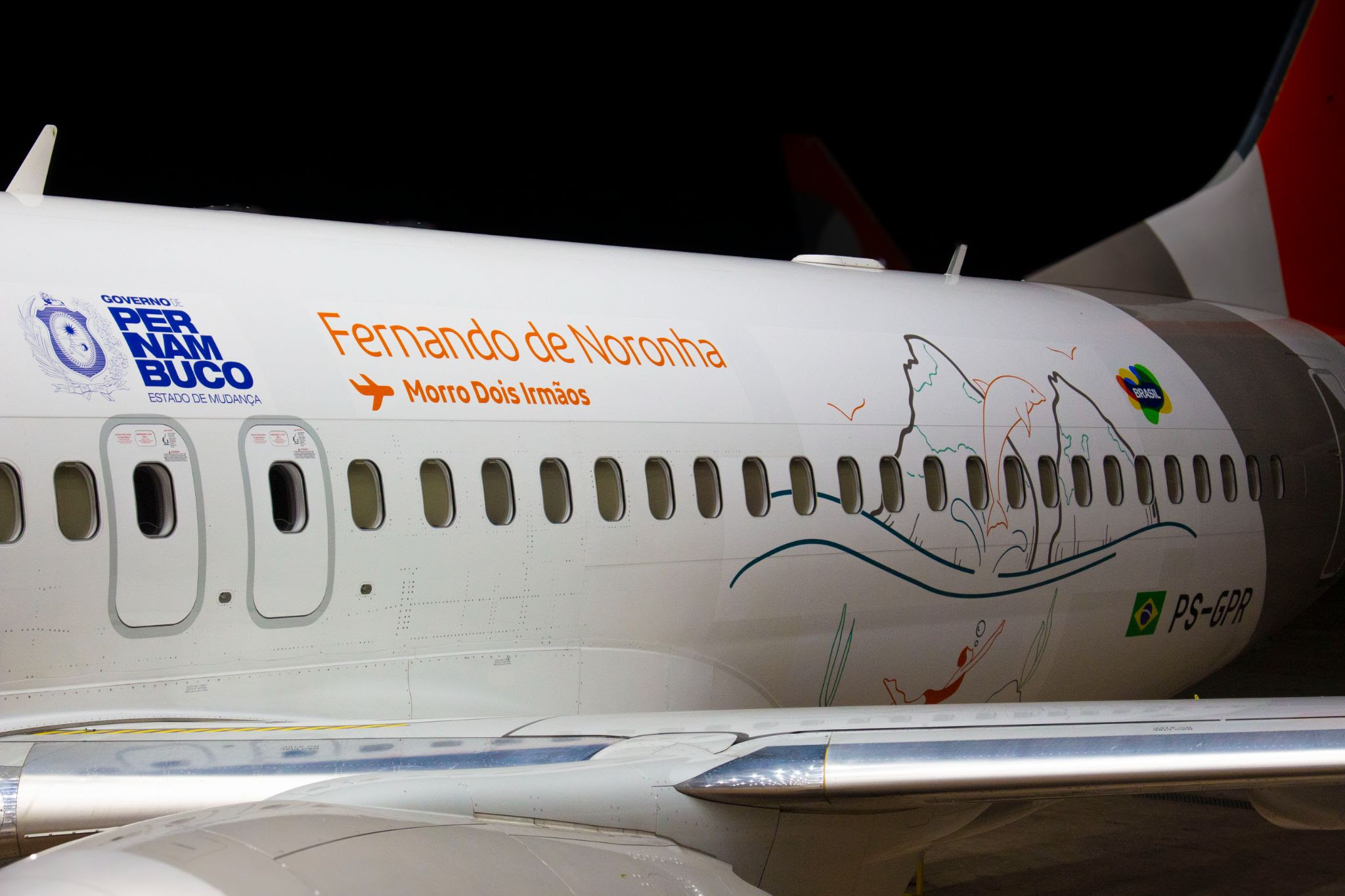 Na lateral do Boeing 737 MAX 8 da GOL, elementos noronhenses, como o Morro Dois Irmãos e os tradicionais golfinhos, em destaque (Foto: Thiago Amato / Divulgação GOL)
