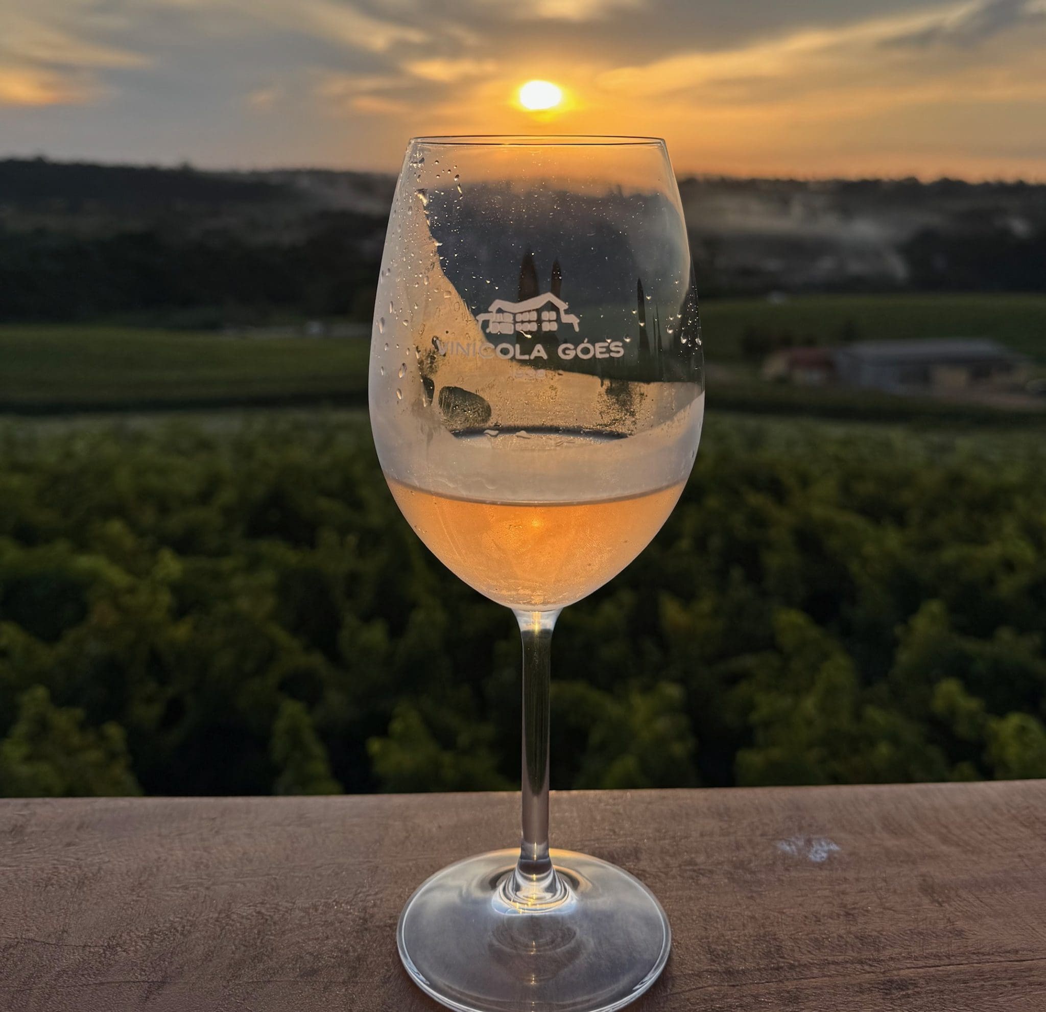 Vinícola Góes e pôr do sol nos vinhedos ( fotos Simone Barros)