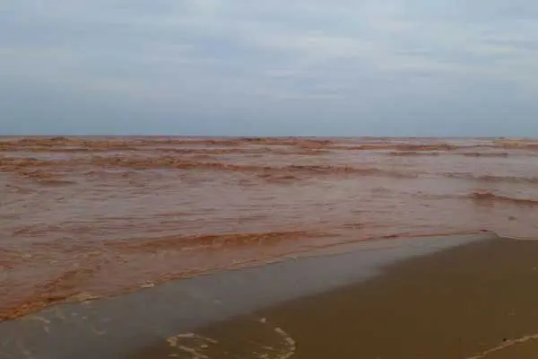 A prefeitura de Linhares (ES) interditou as praias de Regência e Povoação após a chegada ao mar da lama (Foto: Secom - ES)