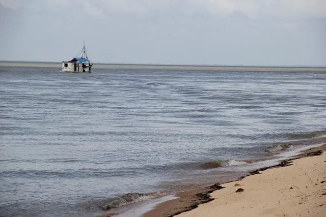Em 1990, através de Lei Municipal, a Ilha de Cotijuba foi transformada em Área de Proteção Ambiental, fato que obriga a preservação de seus ecossistemas (Foto: DT)