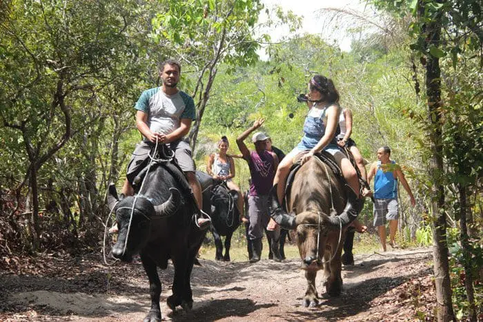Grandes cenários do Brasil é um segmento que oferece viagens contemplativas e com muito contato com a natureza, como esta no Marajó (Foto: Paulo Atzingen)