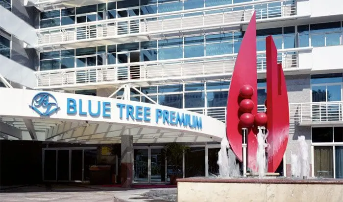 Blue_Tree_Verbo_Divino_08_16