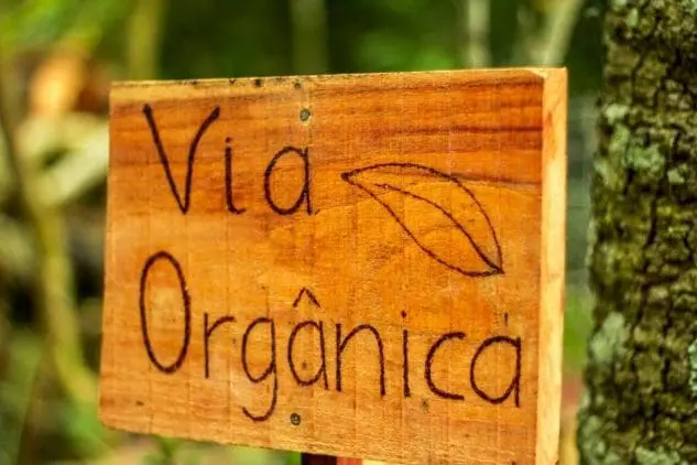 A rota orgânica recebeu consultoria do Sebrae e apoio da Prefeitura Municipal de Garibaldi. (Foto: Slovinscki Fotografia)