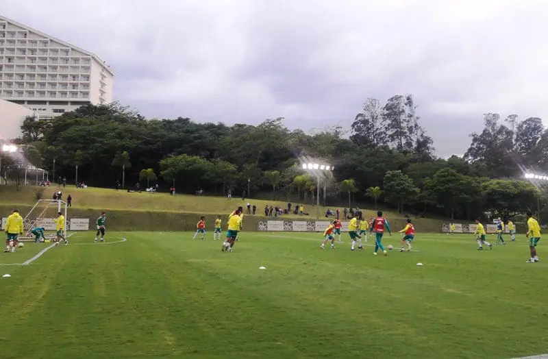 palmeiras