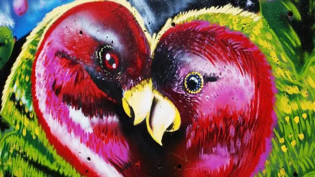 Grafite produzido por Las Chotas, crew grafiteira de Medellín, simboliza a união através do amor