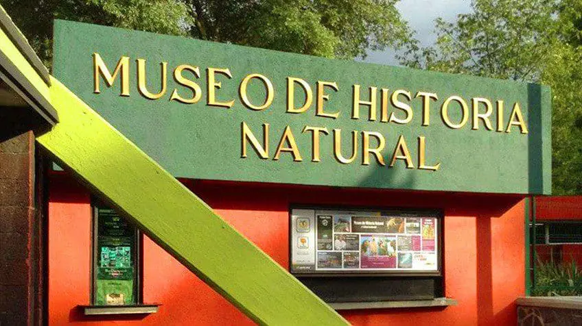 museo-de-historia-natural-y-cultura-ambiental