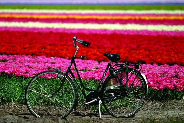 Quem não tem uma bicicleta, ou não pode levar uma na viagem, pode alugar em uma das inúmeras lojas no centro de qualquer cidade (Foto: Divulgação)