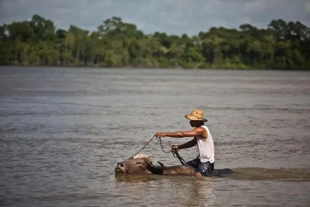 Marajó, Pará (Foto: divulgação)
