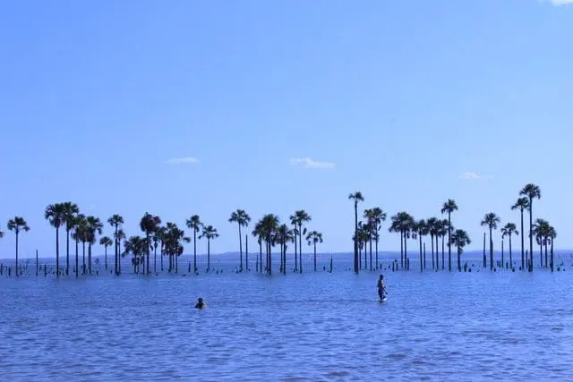 Praia dos Buritis (Foto: Tárcia Oreste)