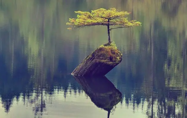 resiliencia resiliencia