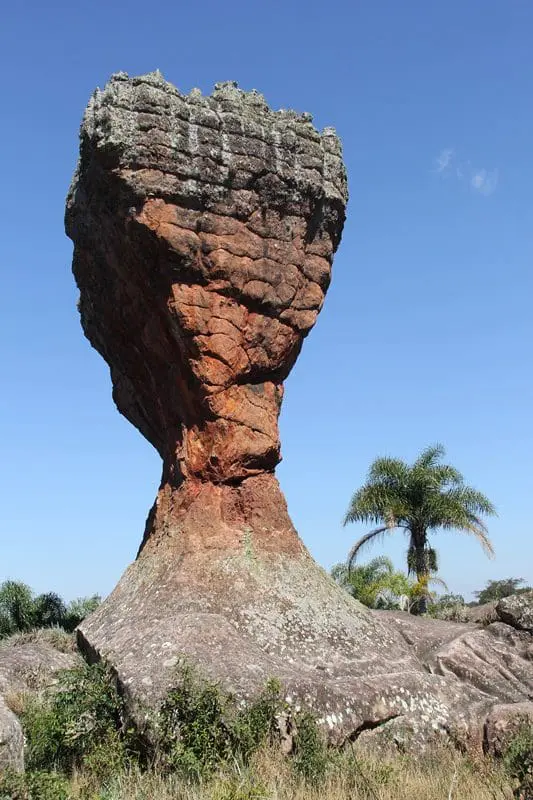 Taça