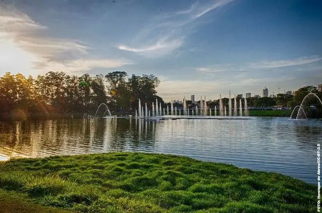 ibirapuera div