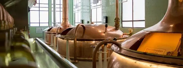 Várias cervejarias participam da rota cervejeira, entre elas a Bohemia (Crédito: arquivo DT)