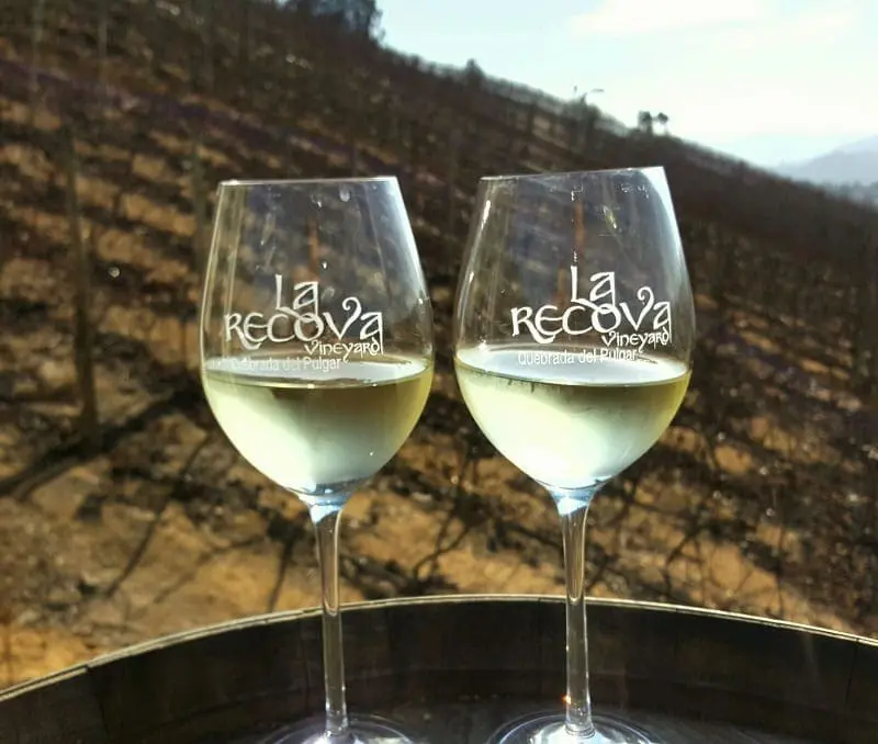 Novo Chile Wine Week 2