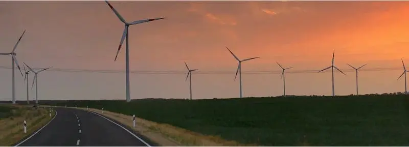 sustentabilidade 2020