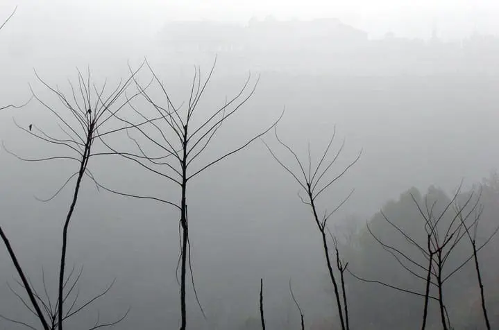 inverno da desesperança
