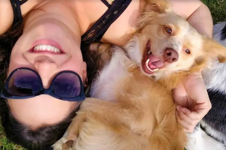 Pets cada vez mais presentes na familia brasileira