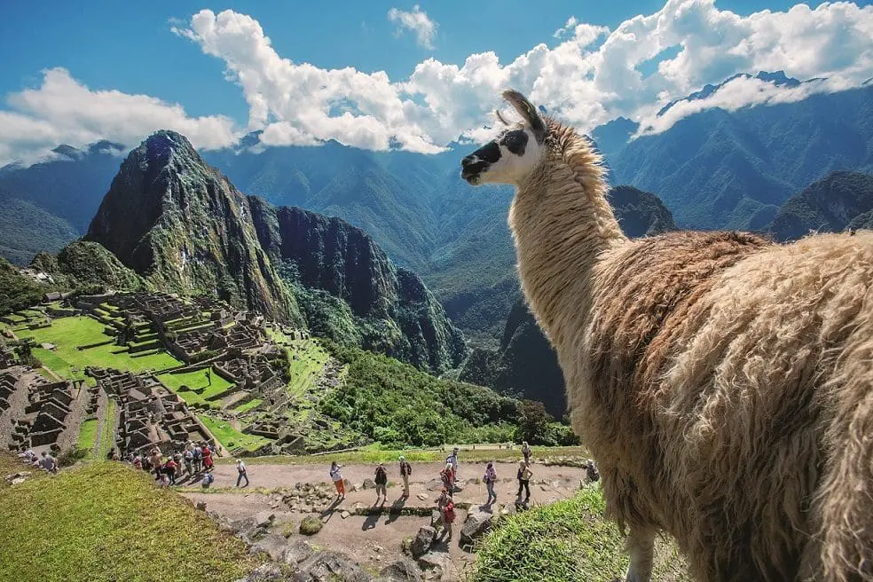 Machu Picchu