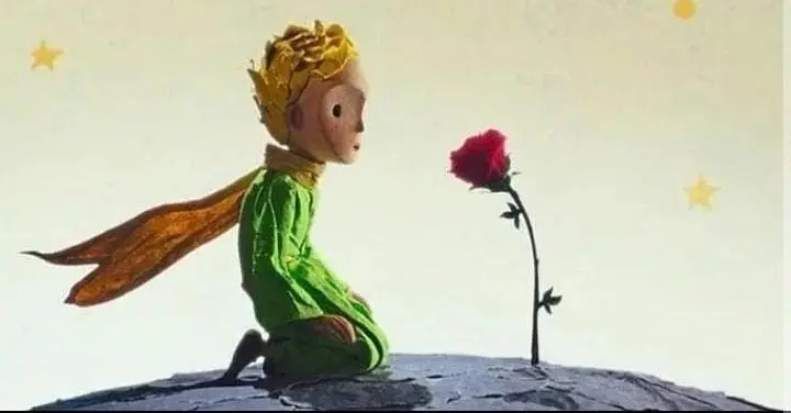 Pequeno Principe rosa