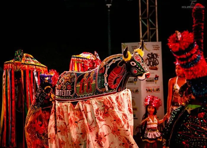 Ribinha Maracanã, cantador do grupo 