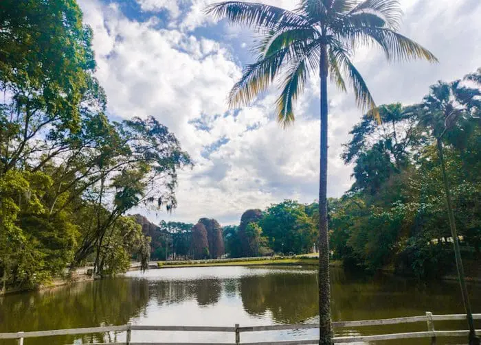 Parque do Horto Florestal é escolhido para evento de lançamento dos parques naturais de São Paulo