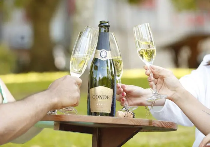 Custando cerca de R$ 25, espumante Conde de Foucauld Brut Branco conquistou a medalha de Ouro e o título Best of Brazil, no certame VinAgora, da Hungria