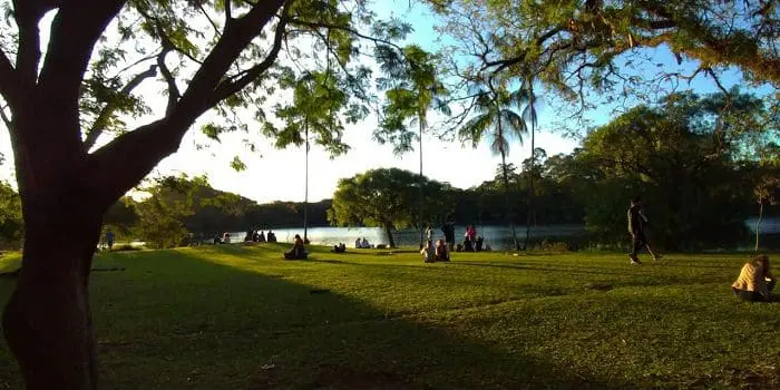O Parque Ibirapuera, em São Paulo, tem uma vasta programação cultural e de lazer para os dias 28 de junho a 3 de julho.
