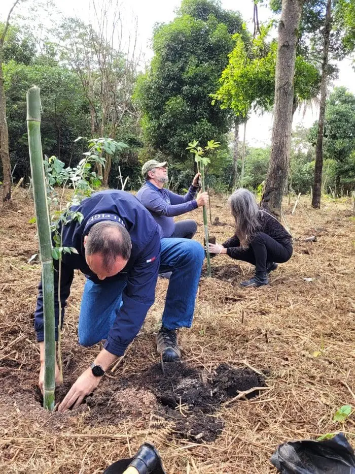 As primeiras árvores para compensar a emissão dos hotéis já foram plantadas em junho de 2022 e acontecerão até setembro deste ano.