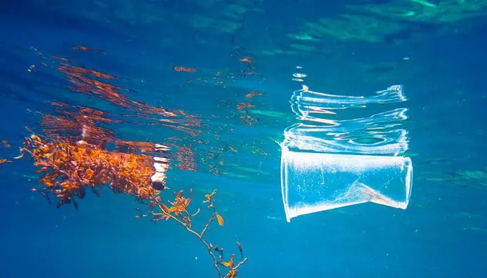 Poluição e sustentabilidade (foto: Accor)