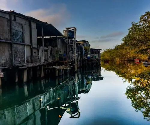 Ilha do peixe