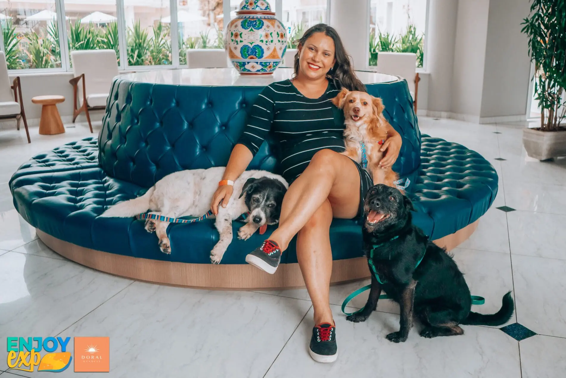 Mulher sentada no hall de um hotel pet friendly com três cães vira-latas de porte médio.
