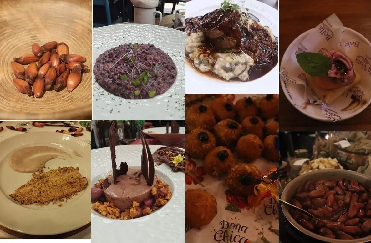 Festival Gastronômico do Pinhão