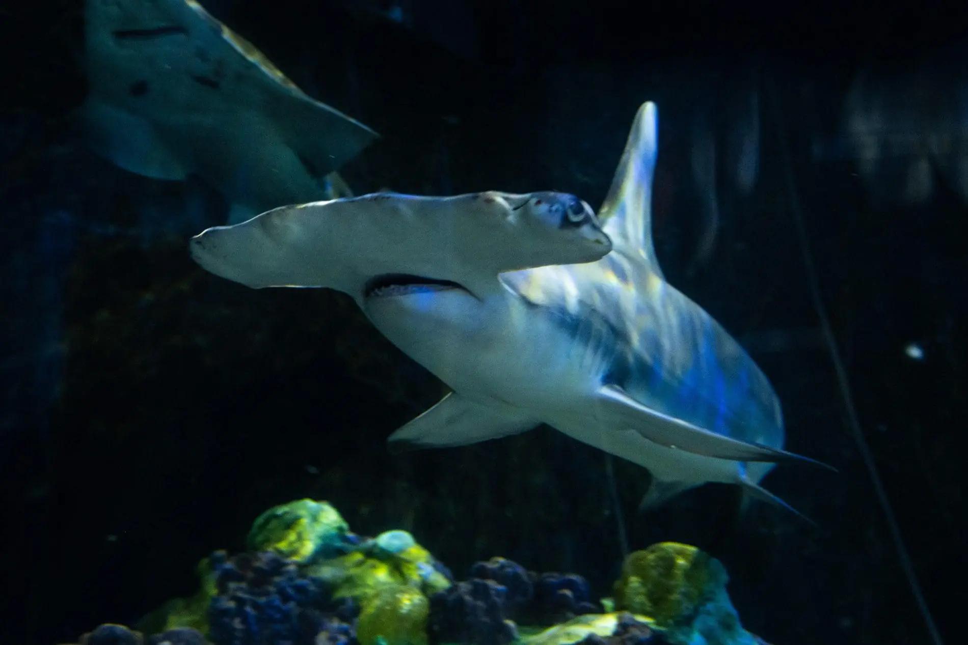 SeaWorld Orlando