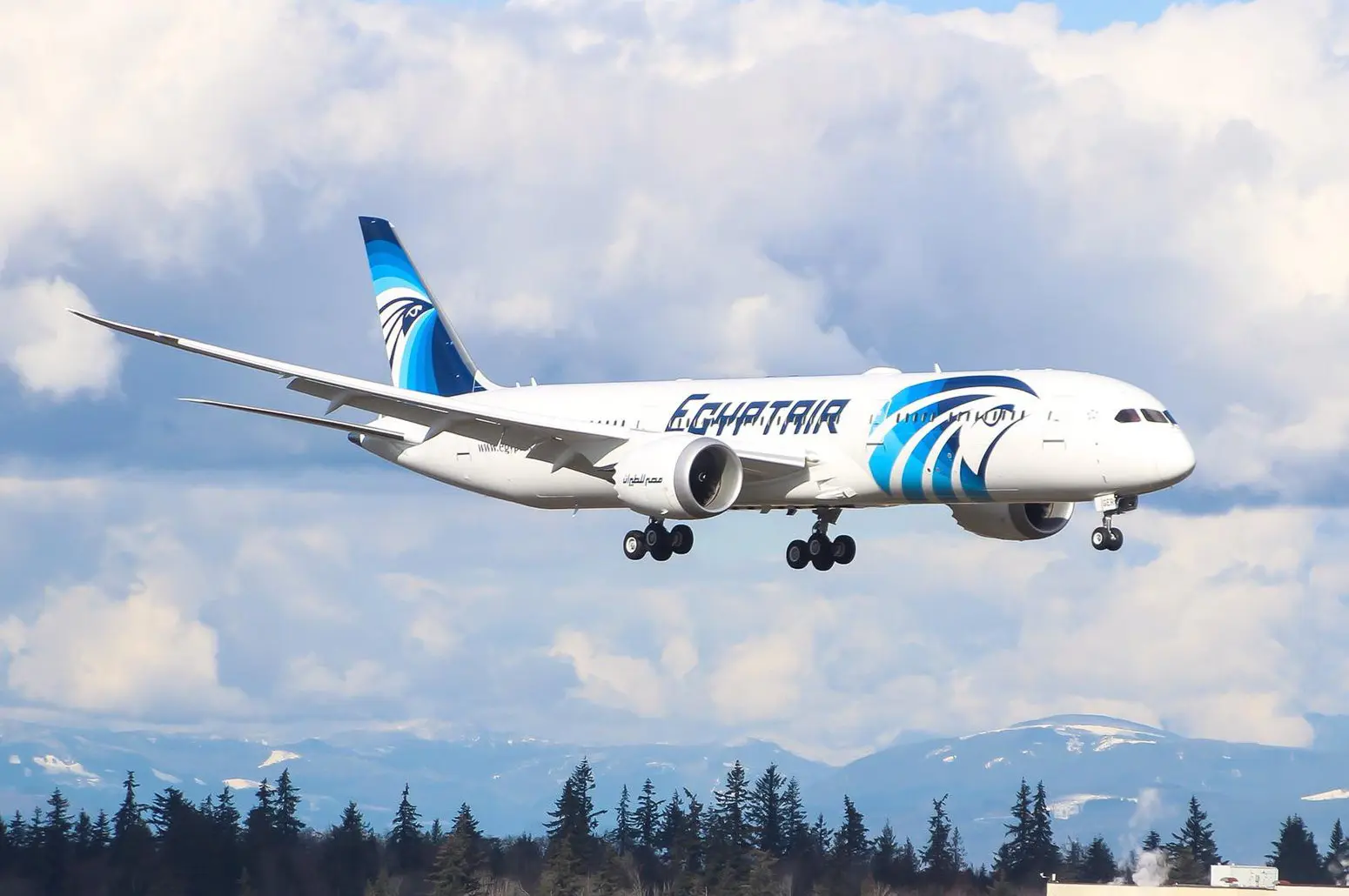 Egypt Flights Brasil comunica suspensão de voos entre Brasil e Egito