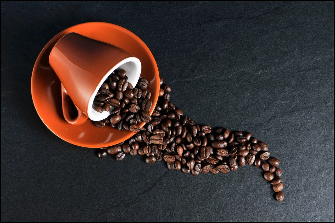 Dia Internacional do Café Dia Internacional do Café