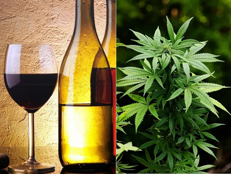 Vinho tinto