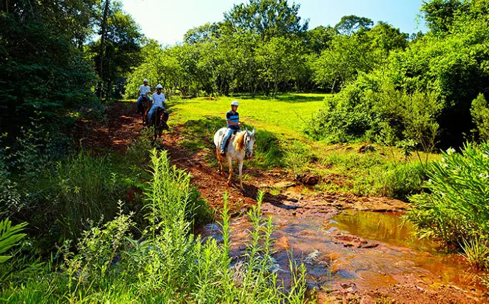 Turismo Rural - Foto Ken Chu Recanto das Cachoeiras - Brotas SP