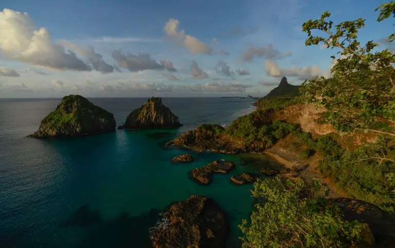Parna Marinho de Fernando de Noronha - Foto Zaira Matheus Acervo ICMBio
