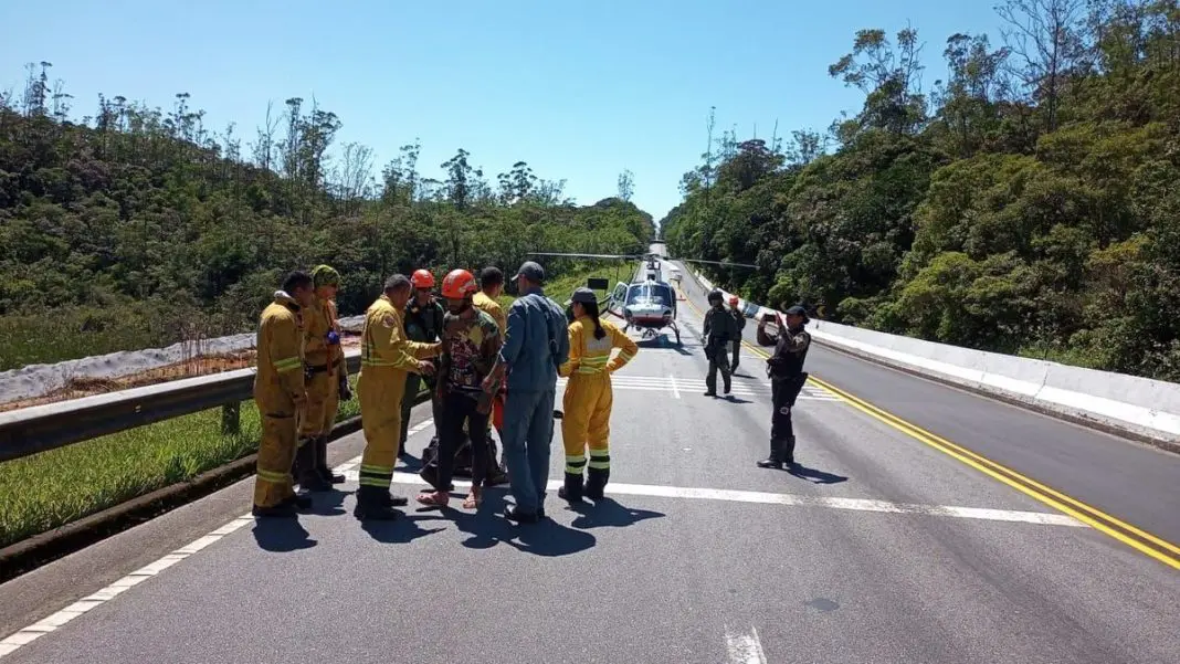Foto Divulgação Fundação Florestal