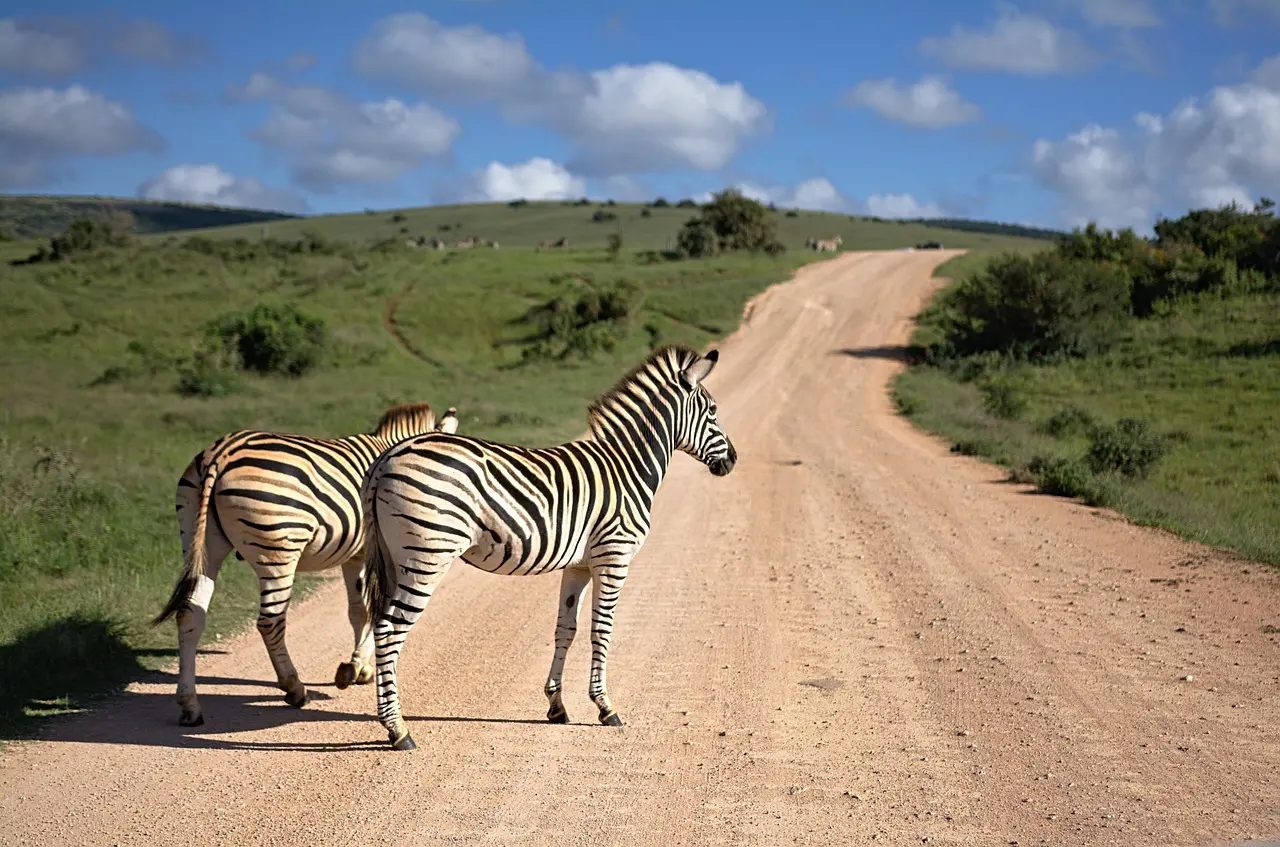 África do Sul