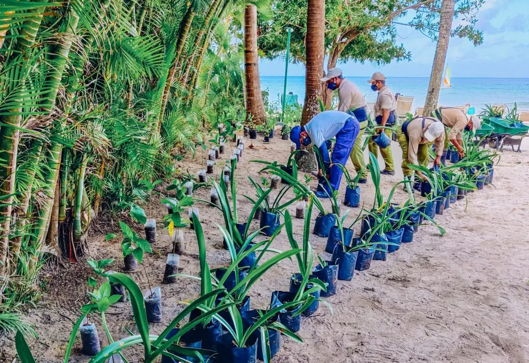 Iberostar destaca seus esforços e resultados em termos de economia circular, alimentos azuis, soluções baseadas na natureza, ação climática e gestão de destinos Iberostar destaca seus esforços e resultados em termos de economia circular, alimentos azuis, soluções baseadas na natureza, ação climática e gestão de destinos